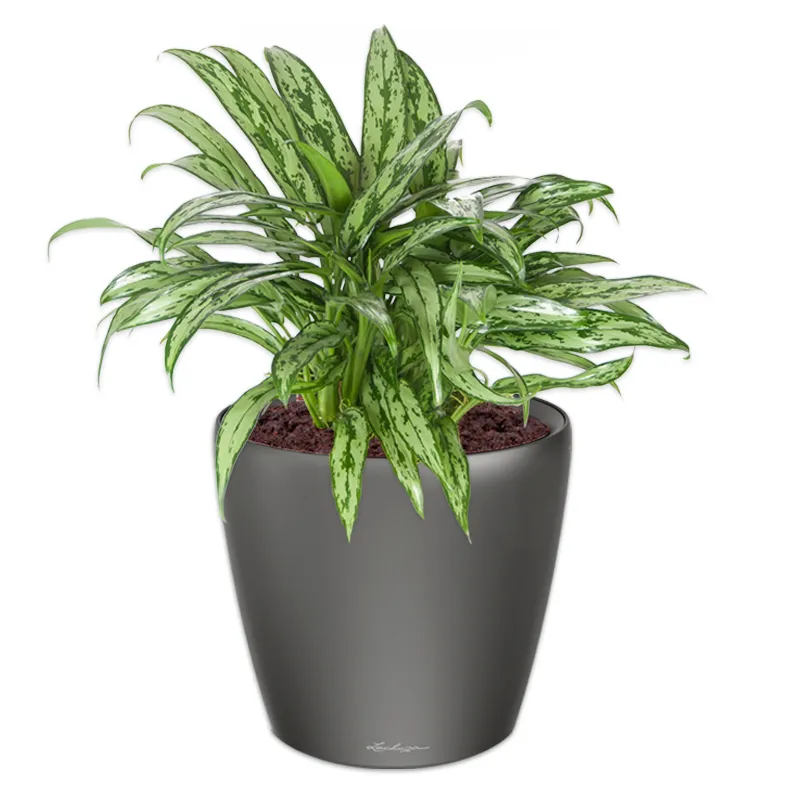 سفارش گلدان پلاستیکی استوانه ای + شرایط استثنایی